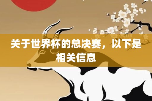 关于世界杯的总决赛，以下是相关信息