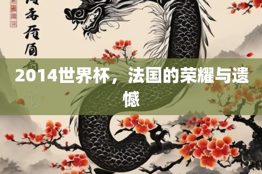 2014世界杯，法国的荣耀与遗憾