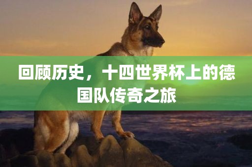 回顾历史，十四世界杯上的德国队传奇之旅