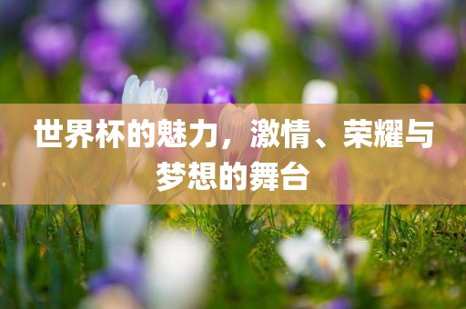 世界杯的魅力，激情、荣耀与梦想的舞台