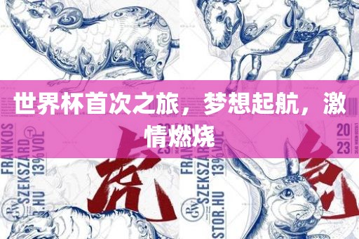 世界杯首次之旅，梦想起航，激情燃烧