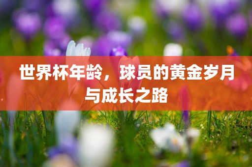 世界杯年龄，球员的黄金岁月与成长之路