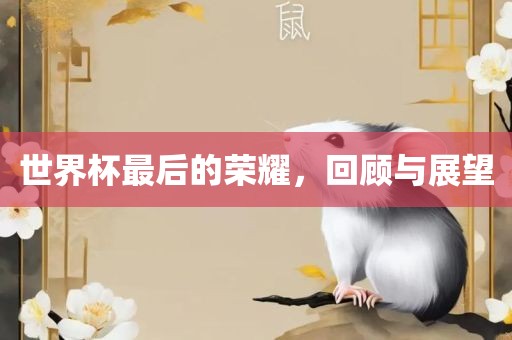 世界杯最后的荣耀，回顾与展望