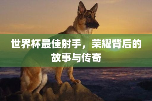 世界杯最佳射手，荣耀背后的故事与传奇