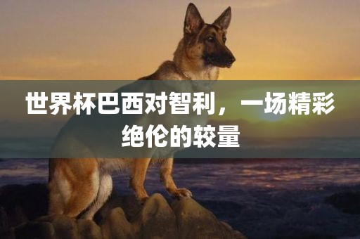 世界杯巴西对智利，一场精彩绝伦的较量