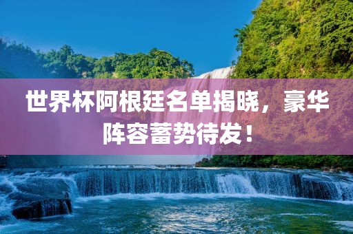 世界杯阿根廷名单揭晓，豪华阵容蓄势待发！