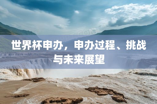 世界杯申办，申办过程、挑战与未来展望