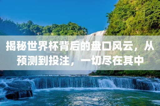 揭秘世界杯背后的盘口风云，从预测到投注，一切尽在其中