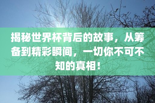 揭秘世界杯背后的故事，从筹备到精彩瞬间，一切你不可不知的真相！漯河市盈旭机械设备有限公司