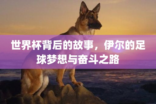 世界杯背后的故事，伊尔的足球梦想与奋斗之路