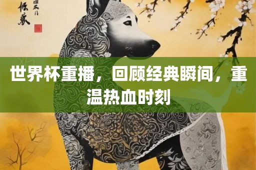 世界杯重播，回顾经典瞬间，重温热血时刻