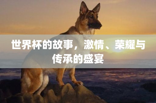 世界杯的故事，激情、荣耀与传承的盛宴