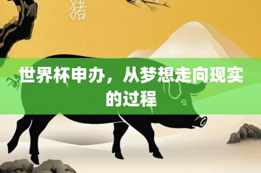 世界杯申办，从梦想走向现实的过程