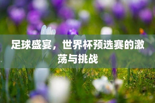 足球盛宴，世界杯预选赛的激荡与挑战