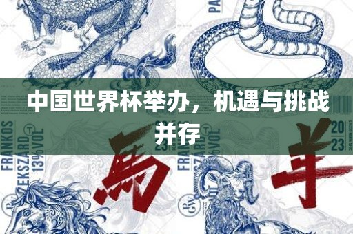 中国世界杯举办，机遇与挑战并存