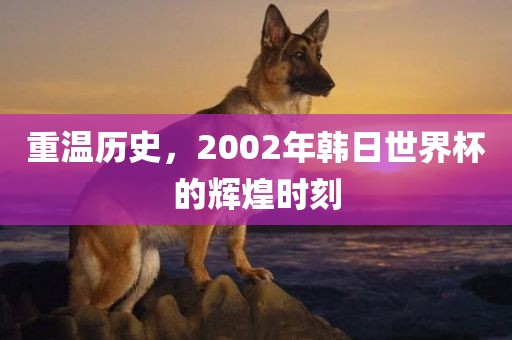 重温历史，2002年韩日世界杯的辉煌时刻