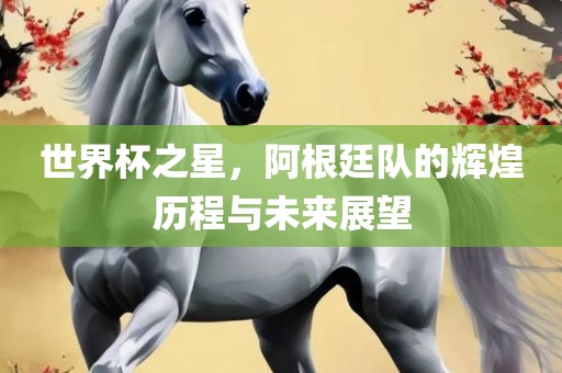世界杯之星，阿根廷队的辉煌历程与未来展望