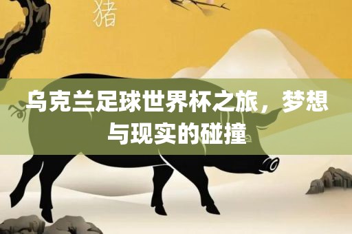 乌克兰足球世界杯之旅，梦想与现实的碰撞