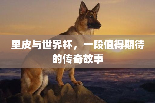 里皮与世界杯，一段值得期待的传奇故事