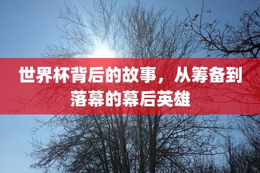 世界杯背后的故事，从筹备到落幕的幕后英雄