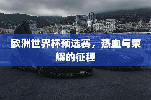 欧洲世界杯预选赛，热血与荣耀的征程