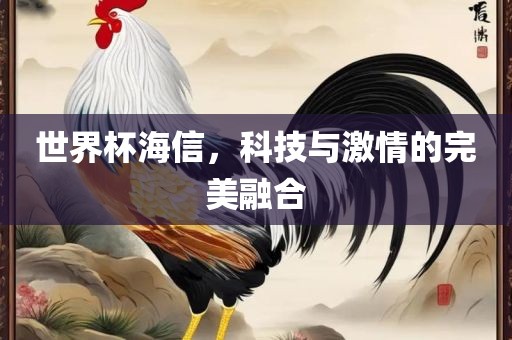世界杯海信，科技与激情的完美融合