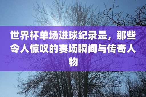 世界杯单场进球纪录是，那些令人惊叹的赛场瞬间与传奇人物