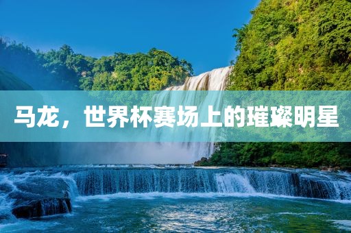 马龙，世界杯赛场上的璀璨明星