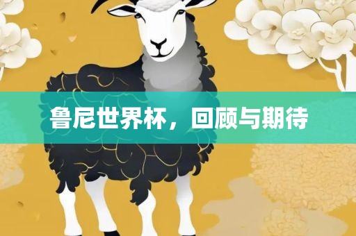 鲁尼世界杯，回顾与期待