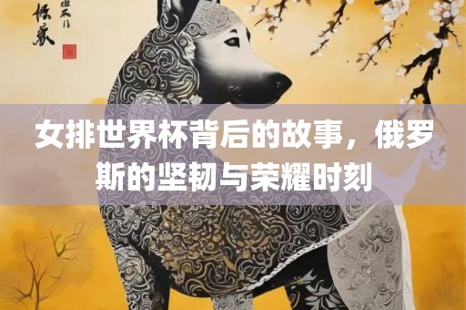 女排世界杯背后的故事，俄罗斯的坚韧与荣耀时刻