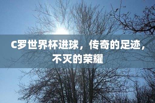 C罗世界杯进球，传奇的足迹，不灭的荣耀