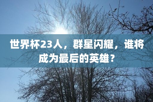 世界杯23人，群星闪耀，谁将成为最后的英雄？