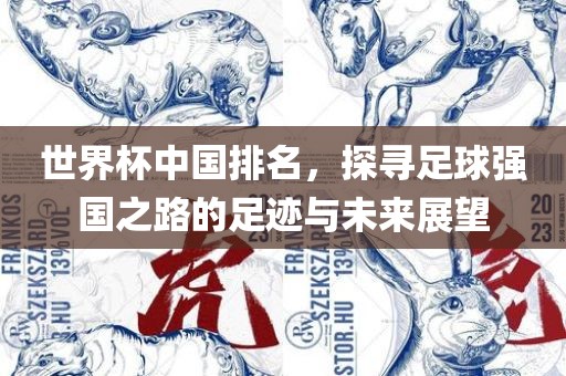 世界杯中国排名，探寻足球强国之路的足迹与未来展望