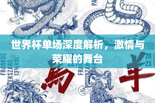 世界杯单场深度解析，激情与荣耀的舞台