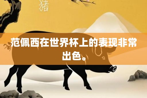 范佩西在世界杯上的表现非常出色。