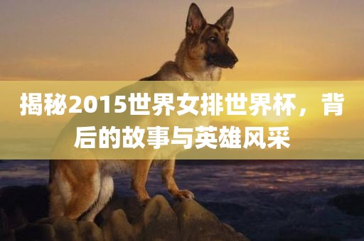 揭秘2015世界女排世界杯，背后的故事与英雄风采