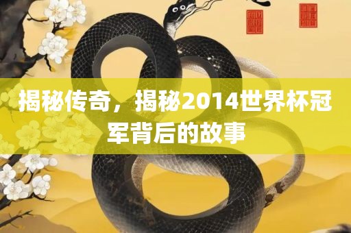 揭秘传奇，揭秘2014世界杯冠军背后的故事