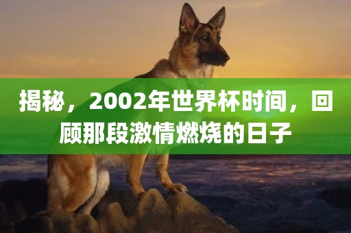 揭秘，2002年世界杯时间，回顾那段激情燃烧的日子