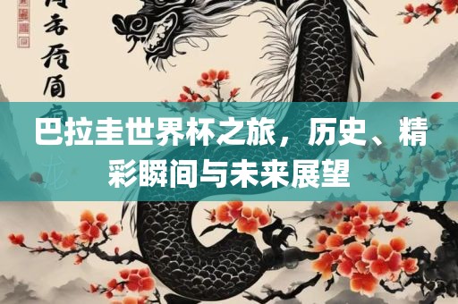 巴拉圭世界杯之旅，历史、精彩瞬间与未来展望