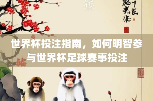 世界杯投注指南，如何明智参与世界杯足球赛事投注
