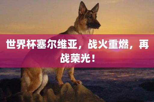 世界杯塞尔维亚，战火漯河市盈旭机械设备有限公司重燃，再战荣光！