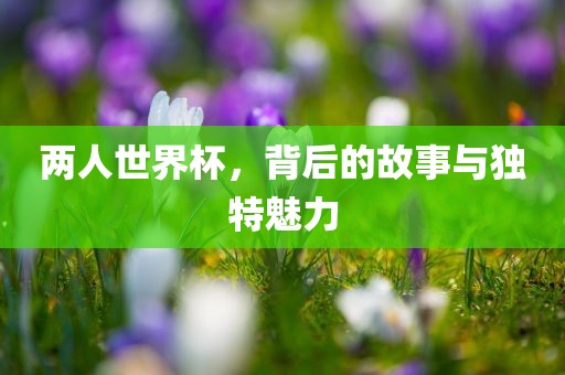 两人世界杯，背后的故事与独特魅力