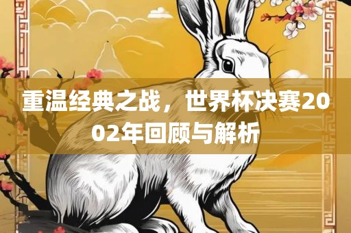 重温经典之战，世界杯决赛2002年回顾与解析