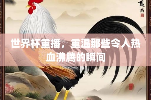 世界杯重播，重温那些令人热血沸腾的瞬间