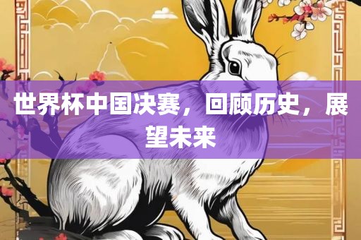 世界杯中国决赛，回顾历史，展望未来