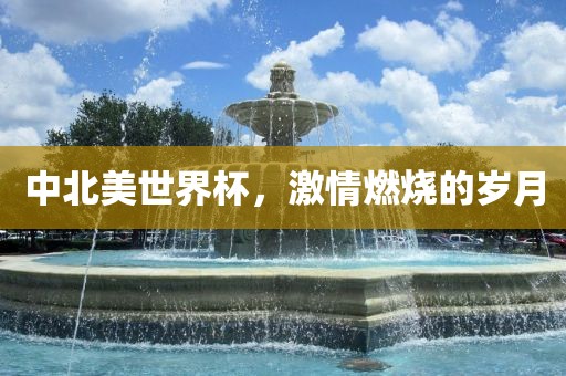 中北美世界杯，激情燃烧的岁月