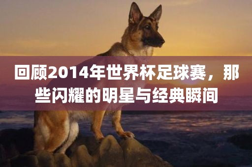 回顾2014年世界杯足球赛，那些闪耀的明星与经典瞬间