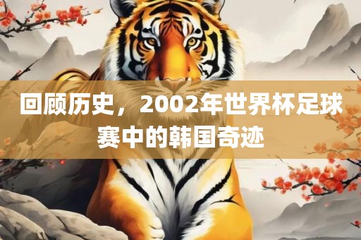 回顾历史，2002年世界杯足球赛中的韩国奇迹