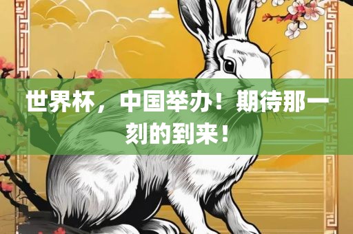 世界杯，中国举办！期待那一刻的到来！