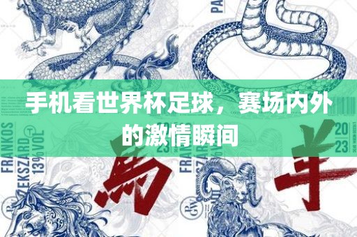 手机看世界杯足球，赛场内外的激情瞬间